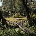 Les Des Marais La Madelaine-sous-Montreuil