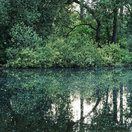Bed & Breakfast Les Des Marais
