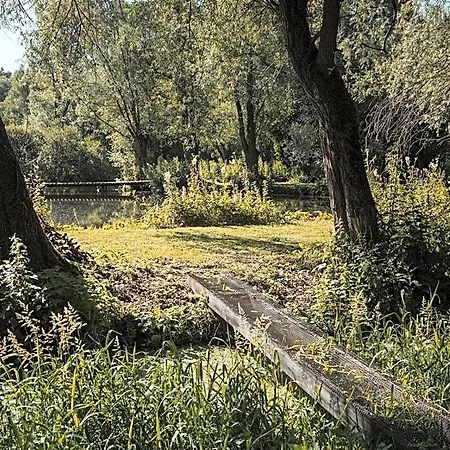 Les Des Marais