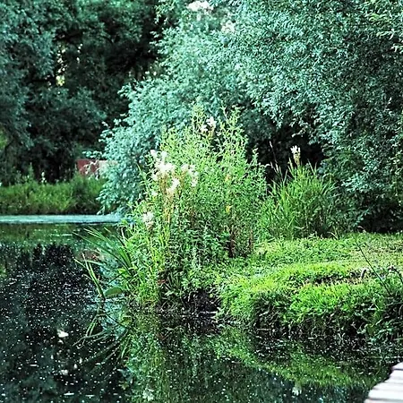 Bed and breakfast Les Des Marais La Madelaine-sous-Montreuil
