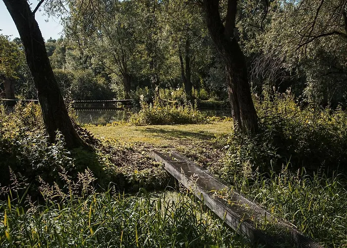 Les Des Marais La Madelaine-sous-Montreuil