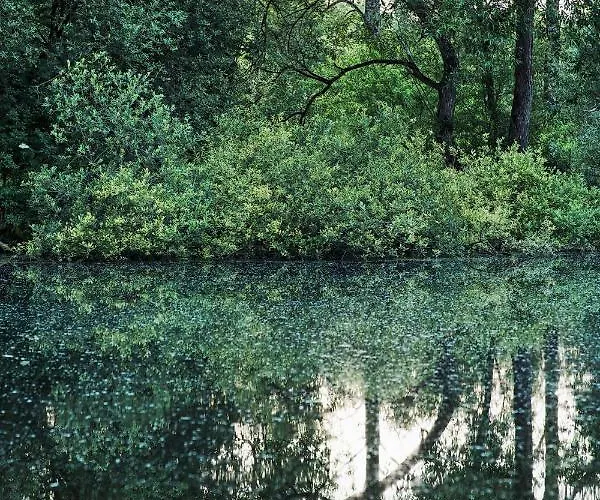 Couette-café Les Des Marais