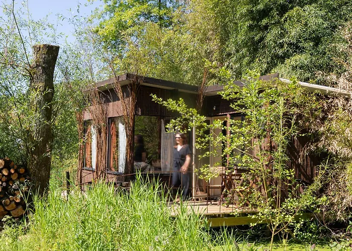 Les Des Marais La Madelaine-sous-Montreuil